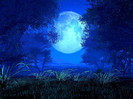 night-fairy-full-moon
