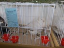 Picture 070