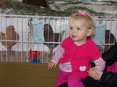 Picture 094