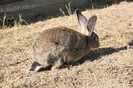 IMG_9272