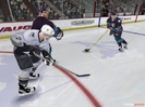 NHL 2005