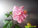 Picture 003