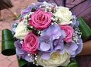 images (19)