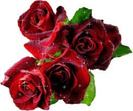 images (44)