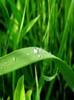 images (11)