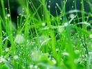 images (12)