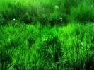 images (17)