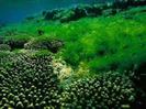 images (22)