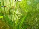 images (26)