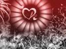 images (64)