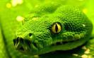images (7)