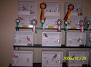 2006_Pannonia_ki_ll_t_s_008