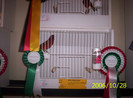 2006_Pannonia_ki_ll_t_s_009