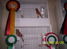 2006_Pannonia_ki_ll_t_s_056