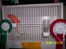2006_Pannonia_ki_ll_t_s_057