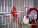 2006_Pannonia_ki_ll_t_s_061