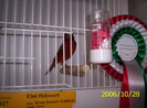 2006_Pannonia_ki_ll_t_s_064