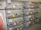 DSCF0677