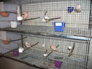 DSCF0683