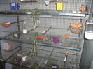 DSCF2327