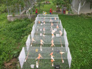 august 2011 073