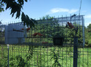 DSCF5846