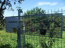 DSCF5847