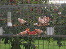 DSCF5865