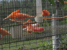 DSCF5862
