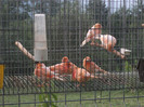 DSCF5861