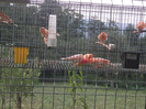 DSCF5857