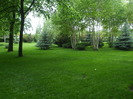 14955377_HZNQULLFE