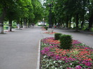 14955466_FZCYLYNZZ