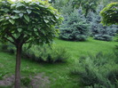 14987702_SEWHCBUQH