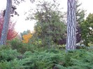 100_0760