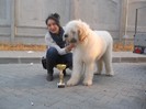 Caraiman Rez.Best Puppy in Show CACIB Craiova