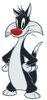 Sylvester