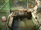 DSC05686