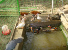 DSC05688