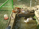 DSC05690