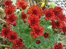DSC03405