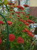 DSC03414