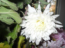 DSCN2125