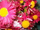 DSCN2127