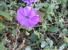 DSCN2134