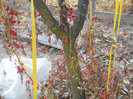 DSCN2159