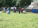 crava 2008 1