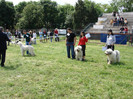 crava 2008 4
