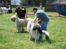 crava 2008 8