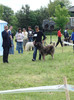 MILCOV DE MINDILICA craiova 2008 11